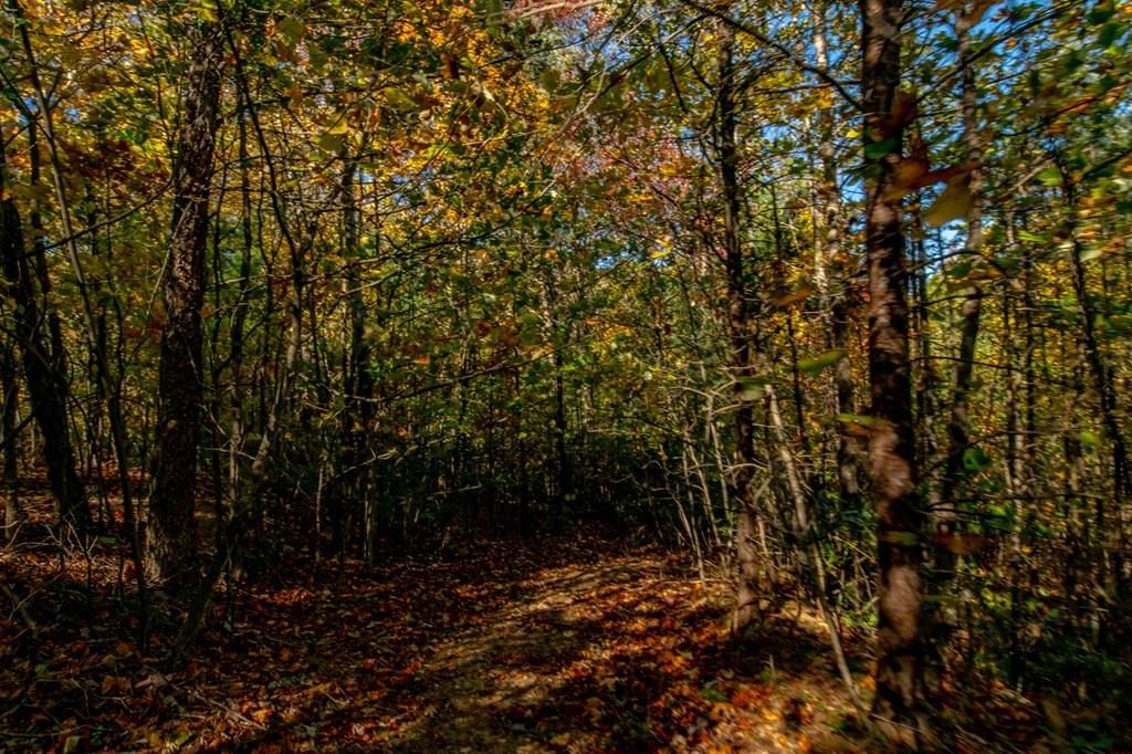 Photo of 6 Old Pond Trl #143, Fancy Gap, VA 24328 (MLS # 103838)