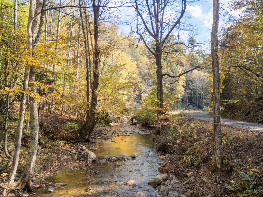 Photo of TBD Deepwater Rd #N/A, Dugspur, VA 24325 (MLS # 112363)