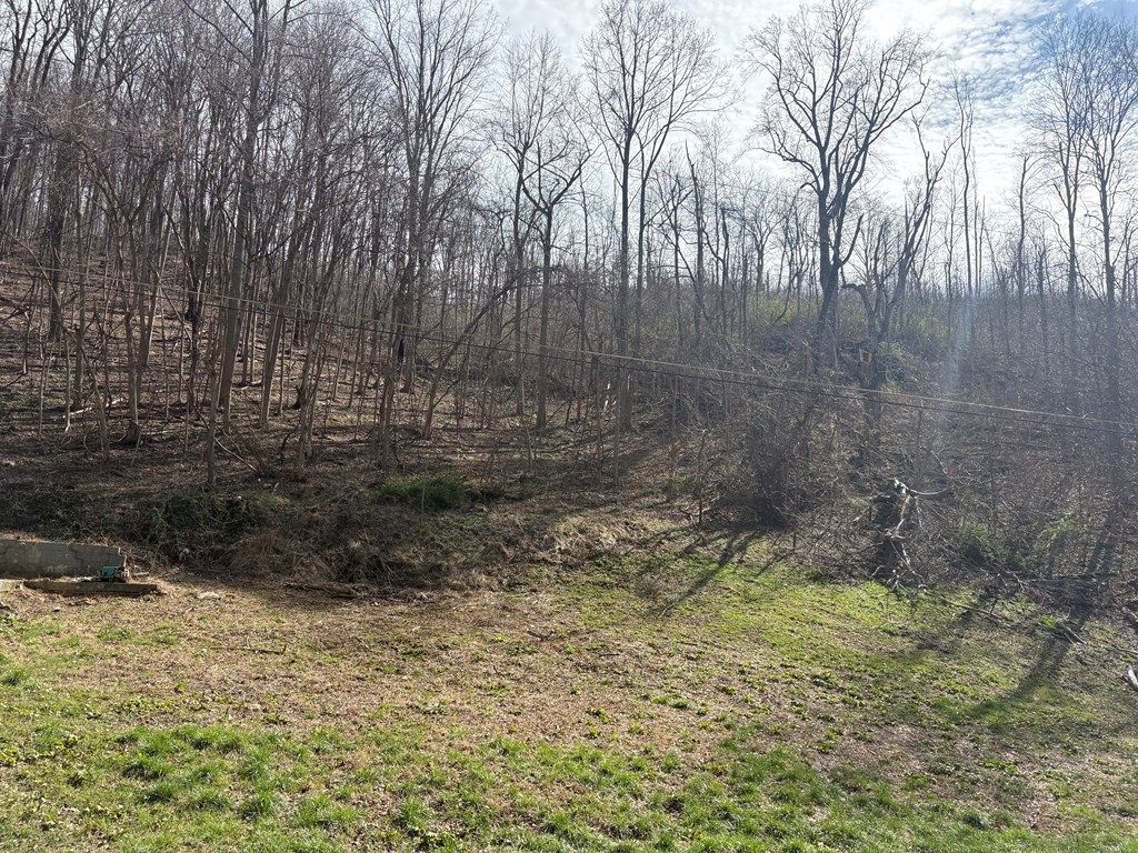 Photo of 192 Blevins Road, Narrows, VA 24124 (MLS # 109836)