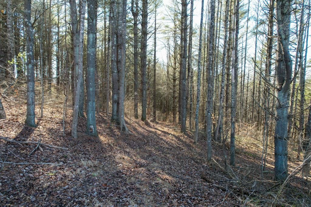 Photo of 0 Danville Pike #n/a, Hillsville, VA 24343 (MLS # 92621)
