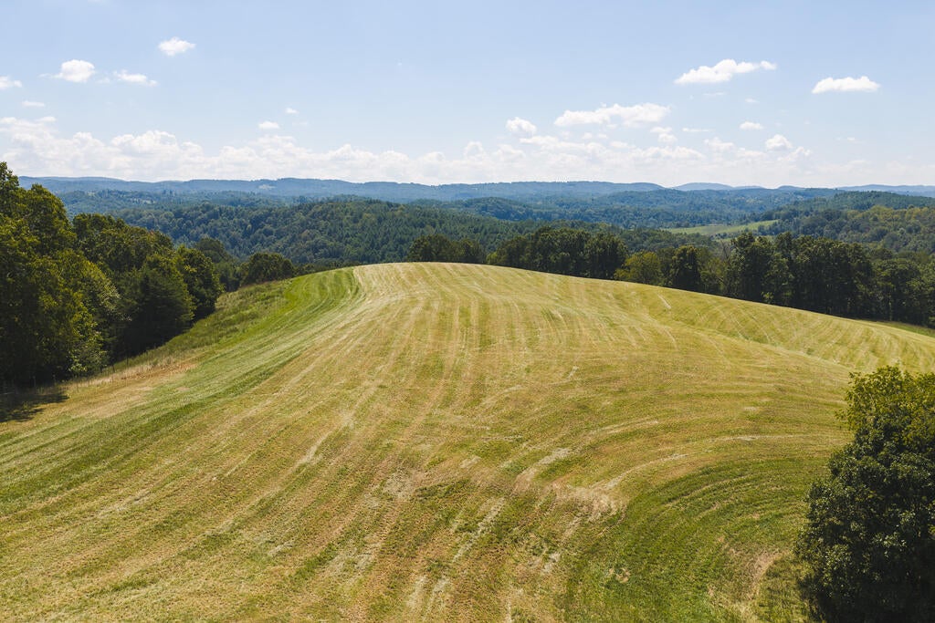 Photo of 5902 Chestnut Ridge Rd, Riner, VA 24149 (MLS # 111848)