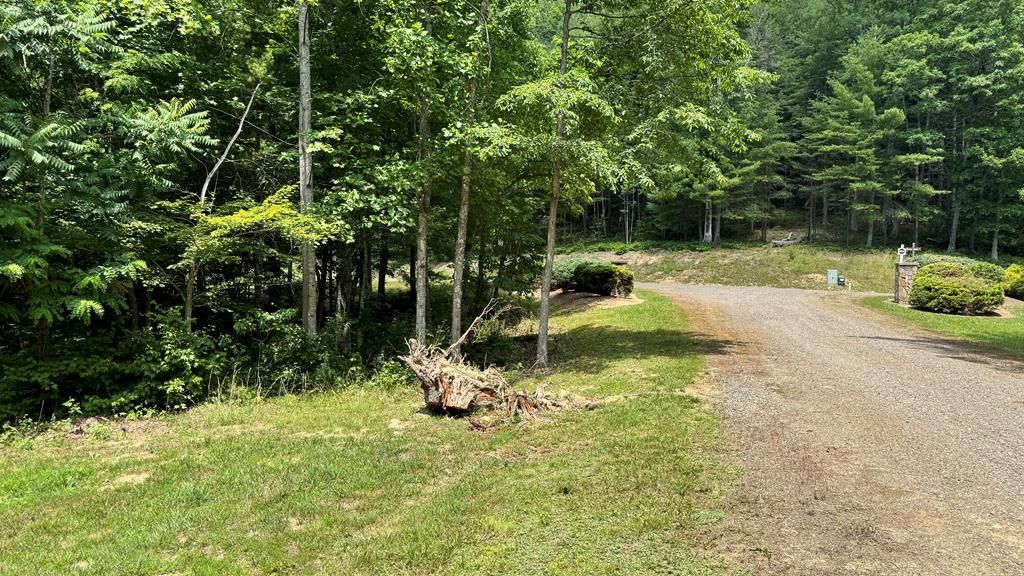 Photo of 49 River Oaks Drive #49, Austinville, VA 24312 (MLS # 100797)