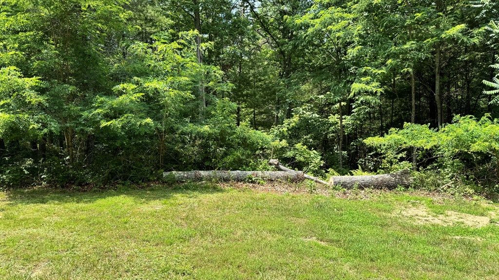 Photo of 49 River Oaks Drive #49, Austinville, VA 24312 (MLS # 100797)