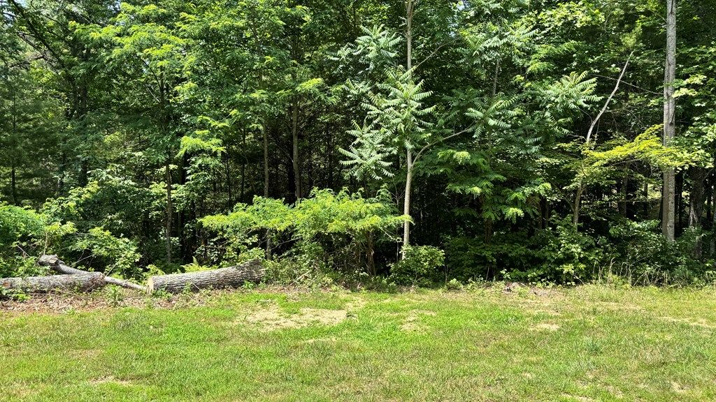 Photo of 49 River Oaks Drive #49, Austinville, VA 24312 (MLS # 100797)