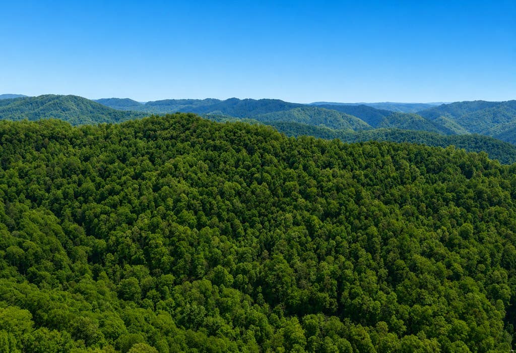 Photo of 0 Poplar Creek Road #2HH216022, Grundy, VA 24614 (MLS # 111359)