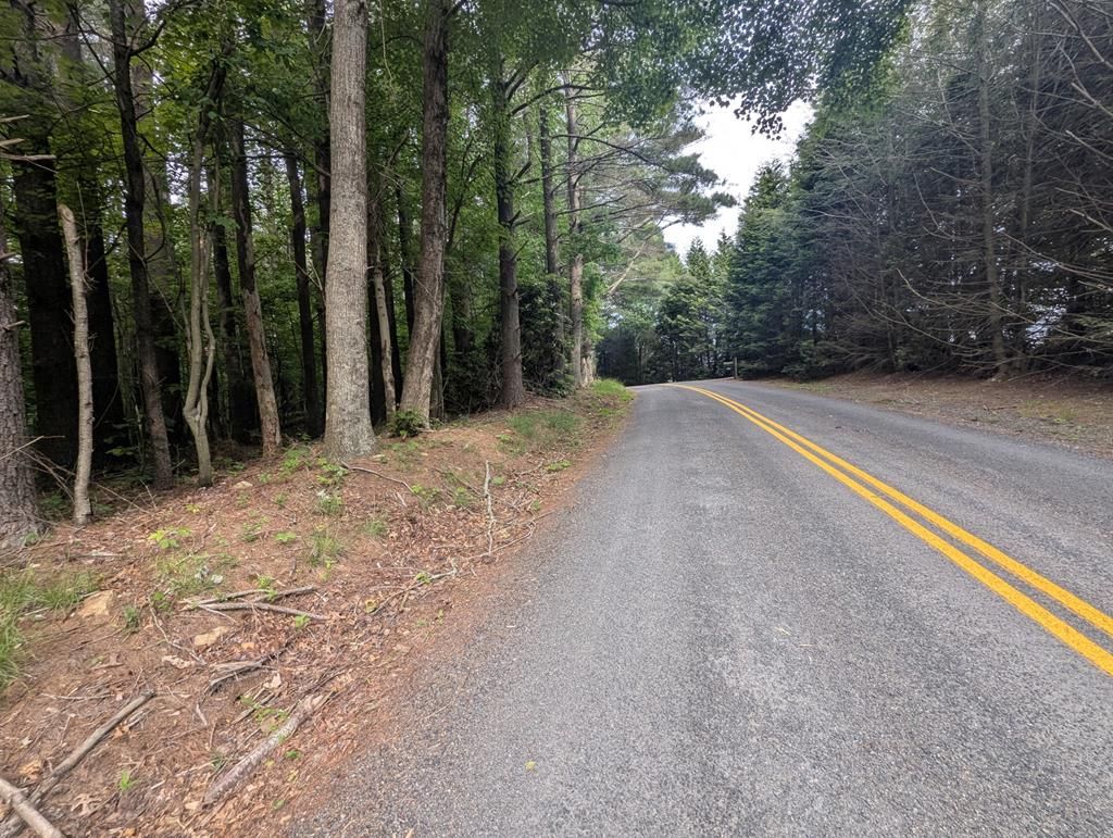 Photo of 0 Red Rough Rd #21, Meadows of Dan, VA 24120 (MLS # 100150)
