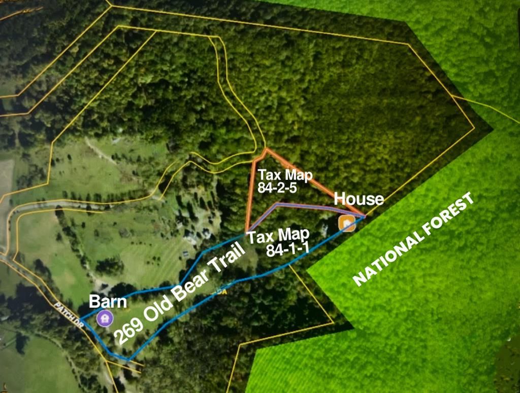 Photo of 269 Old Bear Trail, Ivanhoe, VA 24350 (MLS # 99814)