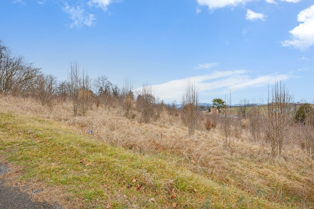 Photo of TBD Graybeal Drive #See Remarks, Castlewood, VA 24224 (MLS # 109214)