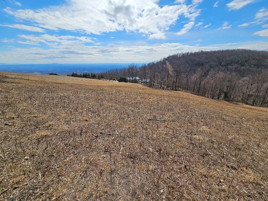 Photo of 2 Cabin Ridge Trail #2, Fancy Gap, VA 24328 (MLS # 98850)