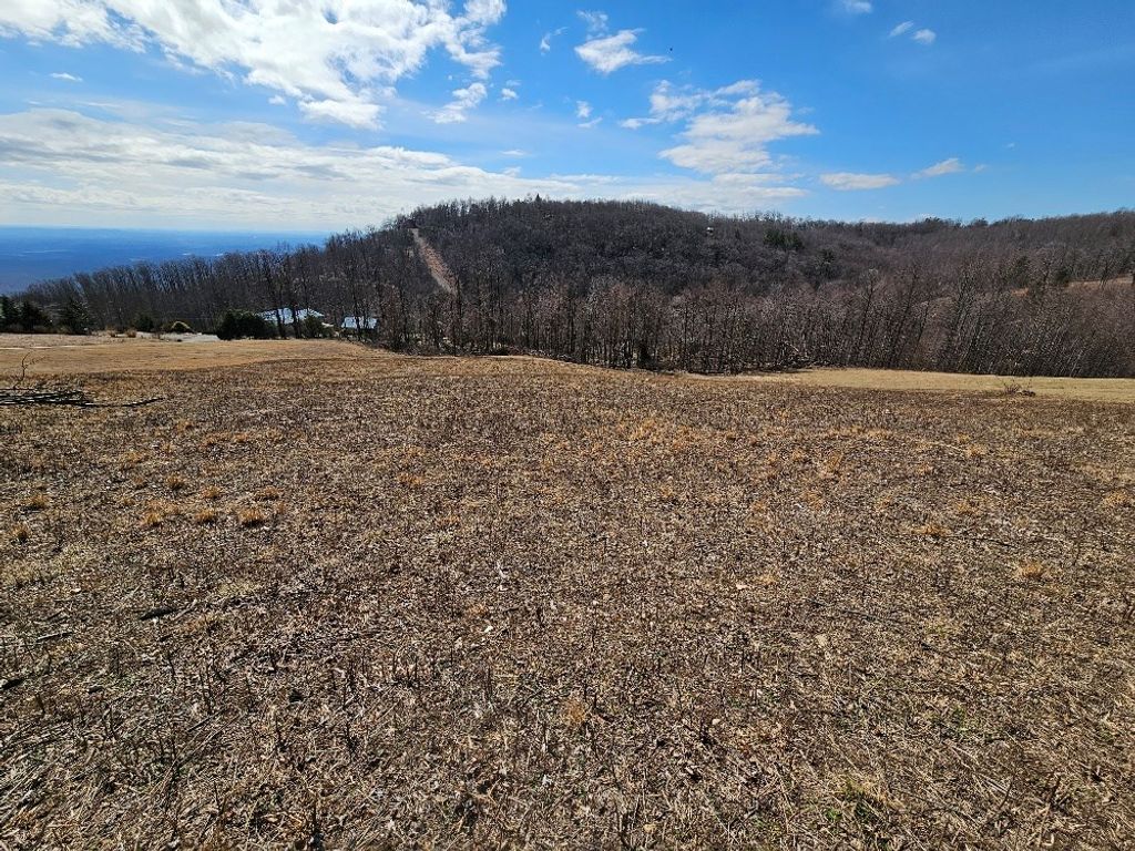 Photo of 2 Cabin Ridge Trail #2, Fancy Gap, VA 24328 (MLS # 98850)