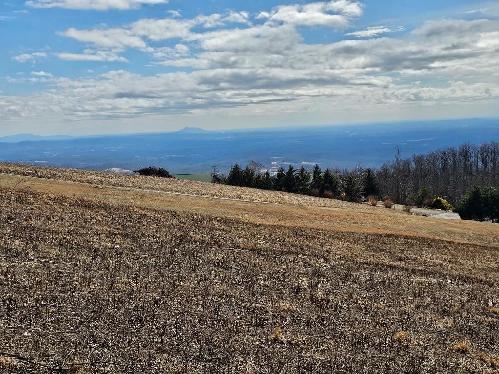 Photo of 2 Cabin Ridge Trail #2, Fancy Gap, VA 24328 (MLS # 98850)