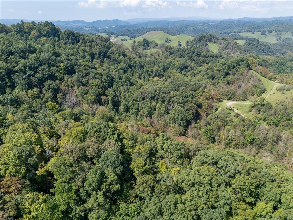Photo of TBD Red Oak Ridge Rd #N/A, Castlewood, VA 24224 (MLS # 111746)