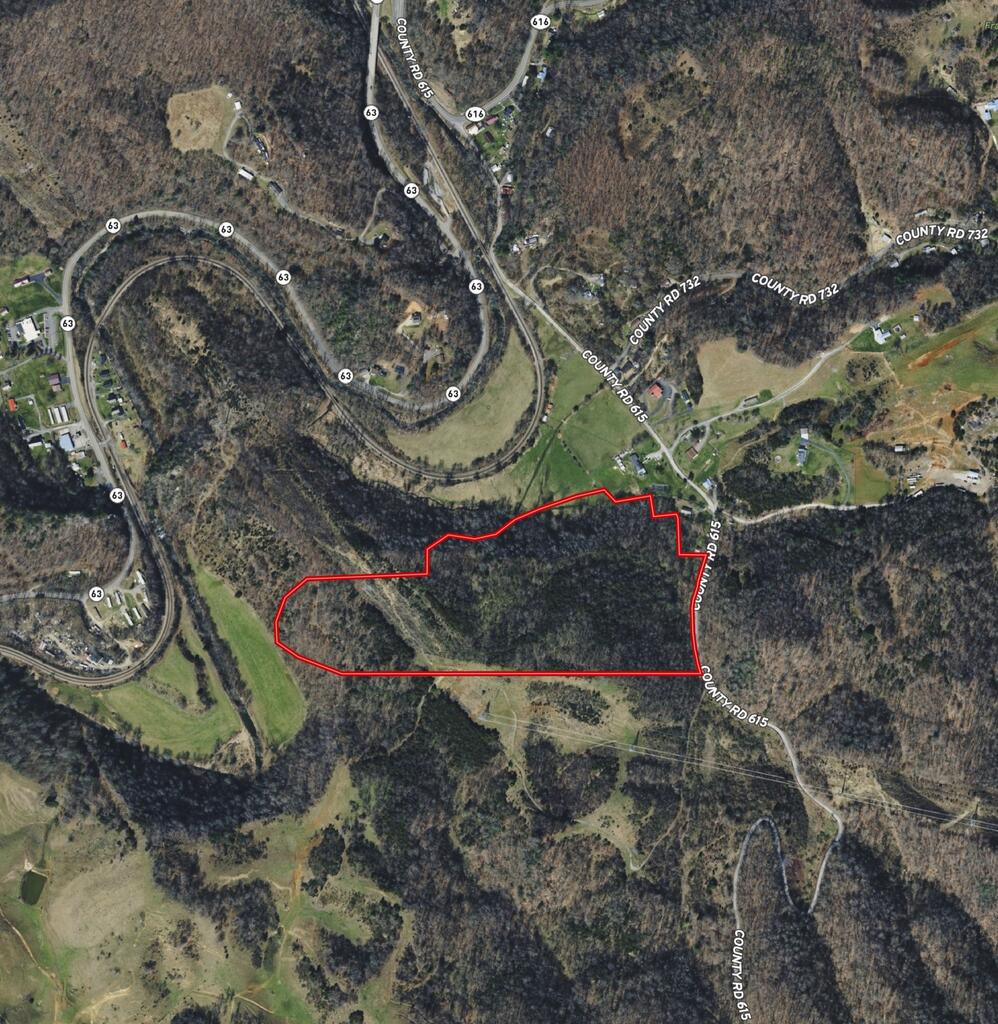 Photo of TBD Red Oak Ridge Rd #N/A, Castlewood, VA 24224 (MLS # 111746)