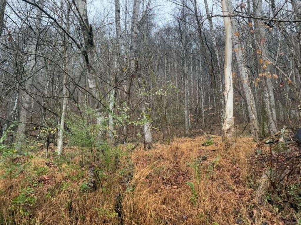 Photo of TBD N Fork River Rd #2C, Abingdon, VA 24210 (MLS # 104385)