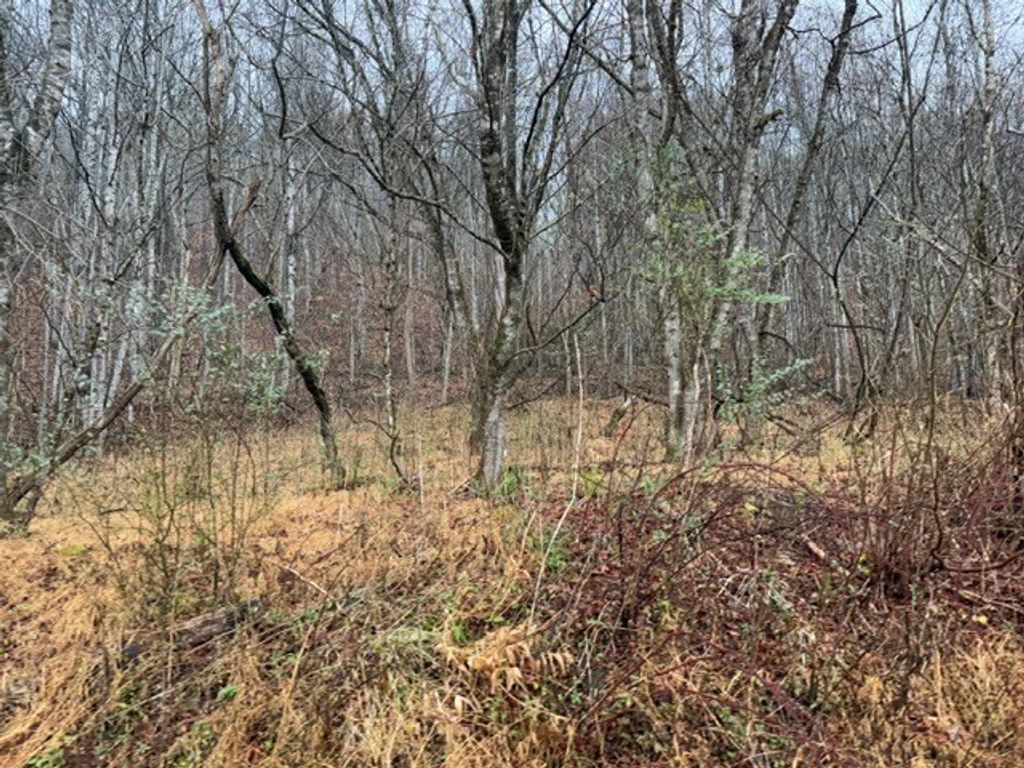 Photo of TBD N Fork River Rd #2C, Abingdon, VA 24210 (MLS # 104385)