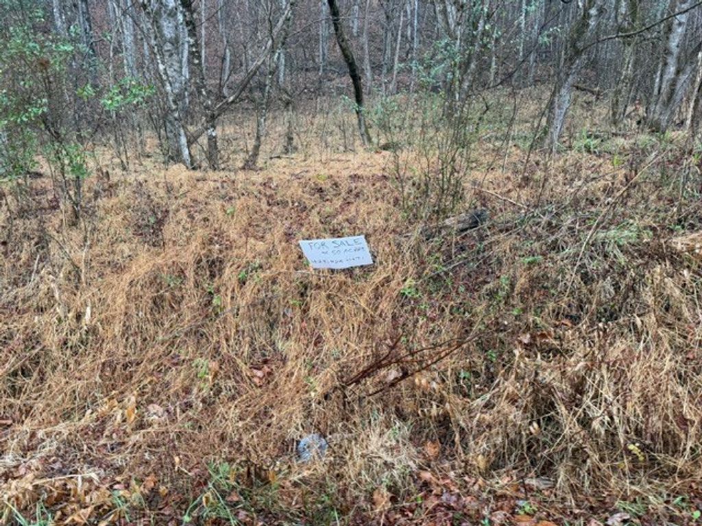 Photo of TBD N Fork River Rd #2C, Abingdon, VA 24210 (MLS # 104385)
