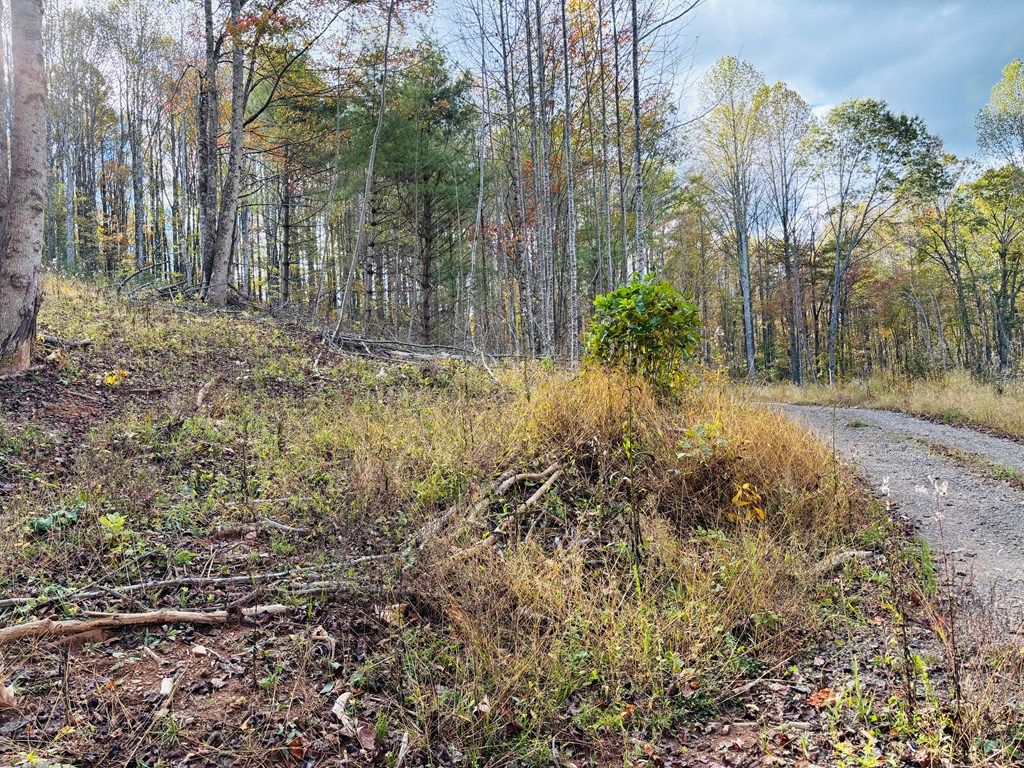 Photo of TBD Red Roof Lane #5, Laurel Fork, VA 24352 (MLS # 103914)