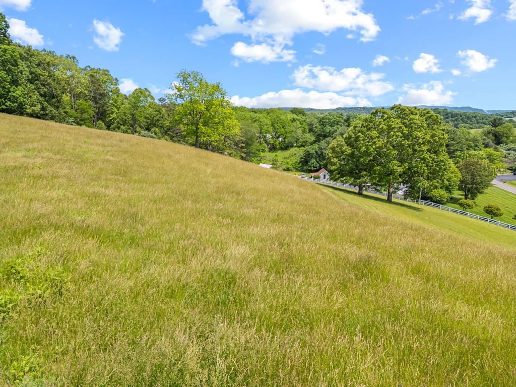 Max Meadows, Virginia 24360, United States, 3 Bedrooms Bedrooms, ,2 BathroomsBathrooms,Residential,Active,147715