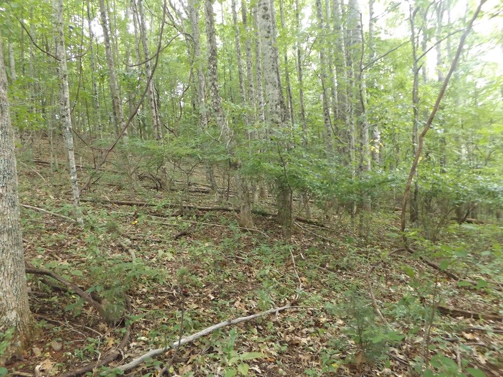 Photo of TBD Kanawha Ridge #9, Dugspur, VA 24325 (MLS # 88784)