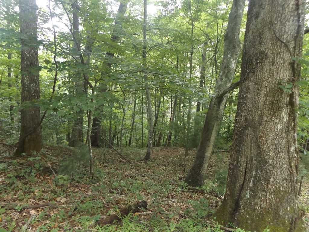 Photo of TBD Kanawha Ridge #9, Dugspur, VA 24325 (MLS # 88784)