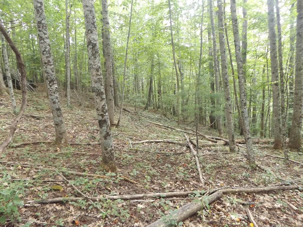 Photo of TBD Kanawha Ridge #9, Dugspur, VA 24325 (MLS # 88784)