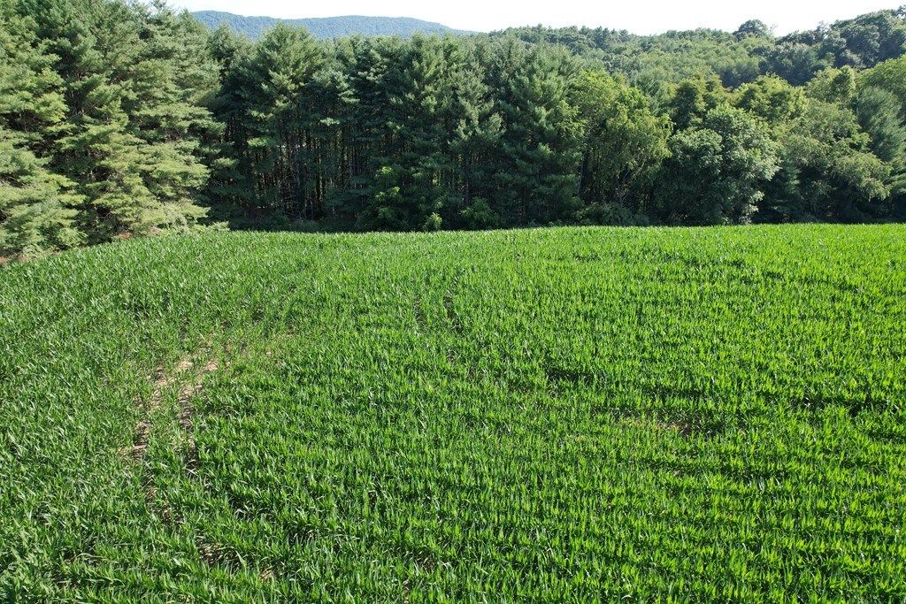 Photo of 1 Comers Rock Rd #none, Elk Creek, VA 24326 (MLS # 103584)