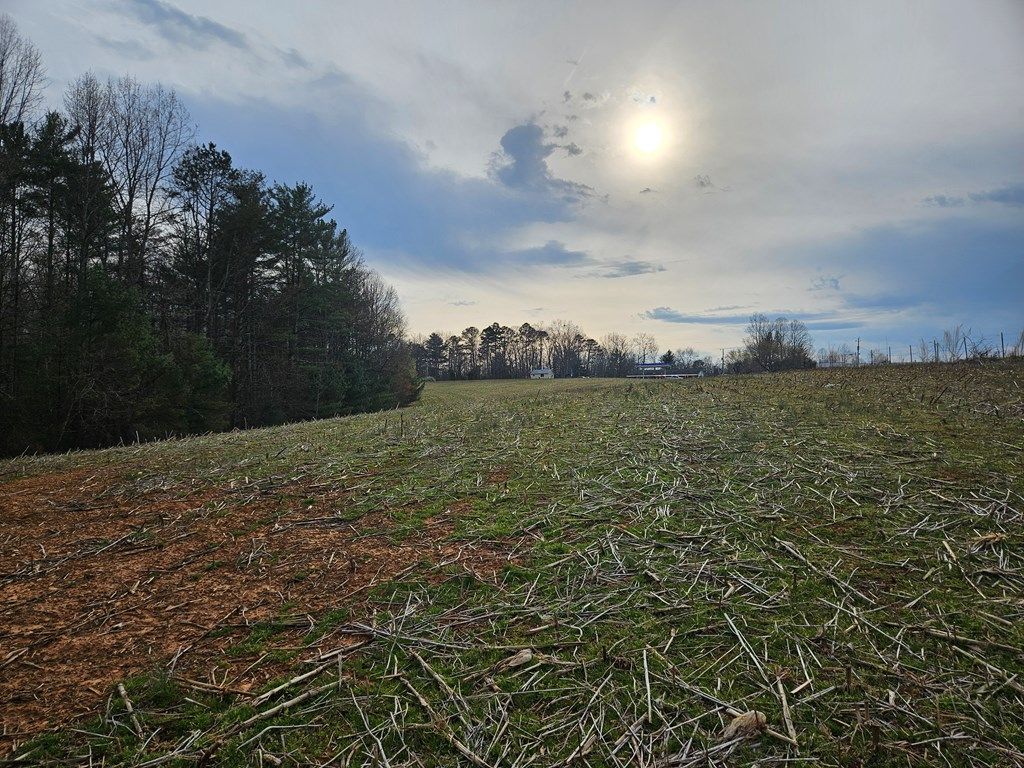 Photo of 00 Willas Gap #114, Ararat, VA 24053 (MLS # 109271)