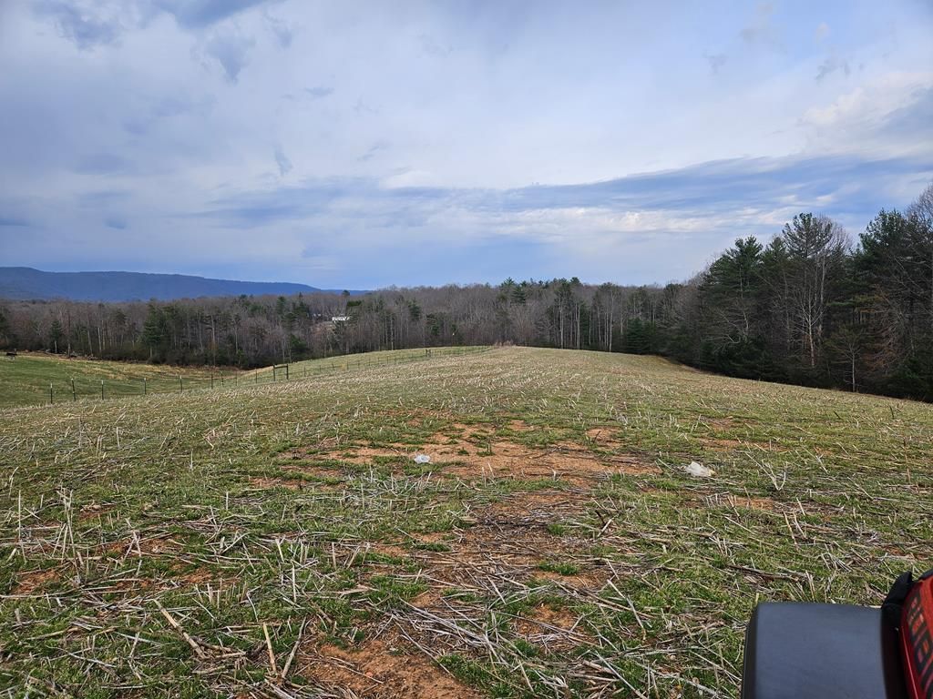 Photo of 00 Willas Gap #114, Ararat, VA 24053 (MLS # 109271)