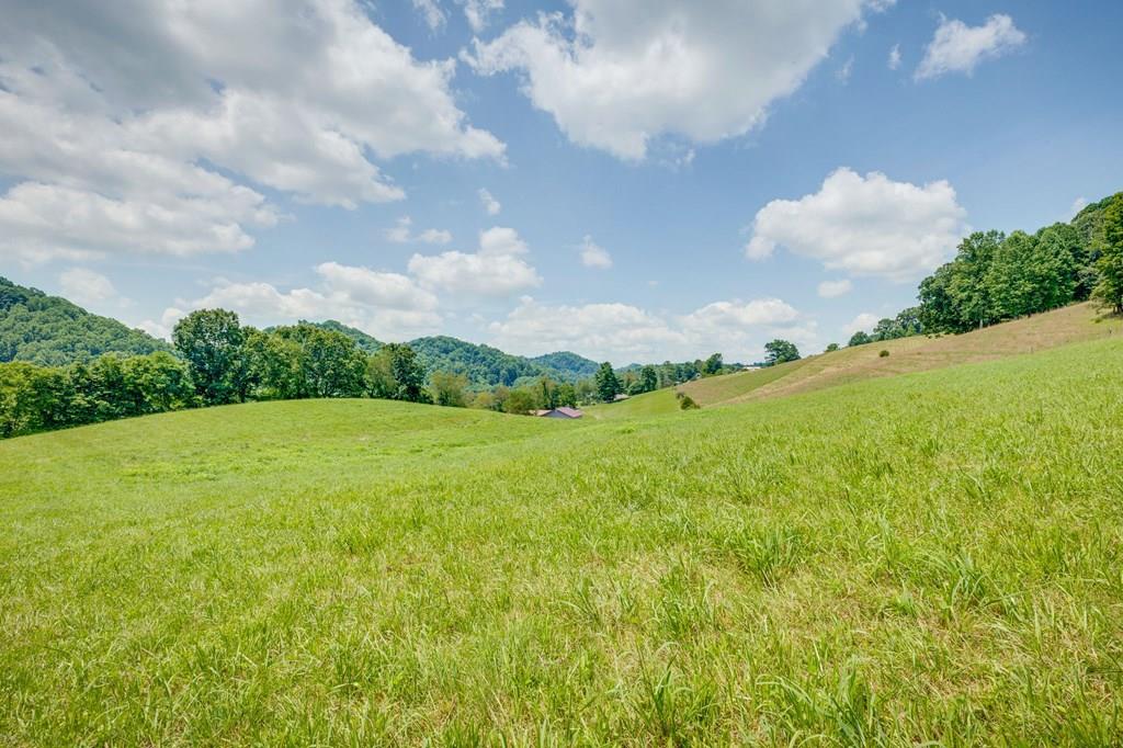 Photo of TBD Call Valley Road #N/A, Swords Creek, VA 24649 (MLS # 111085)