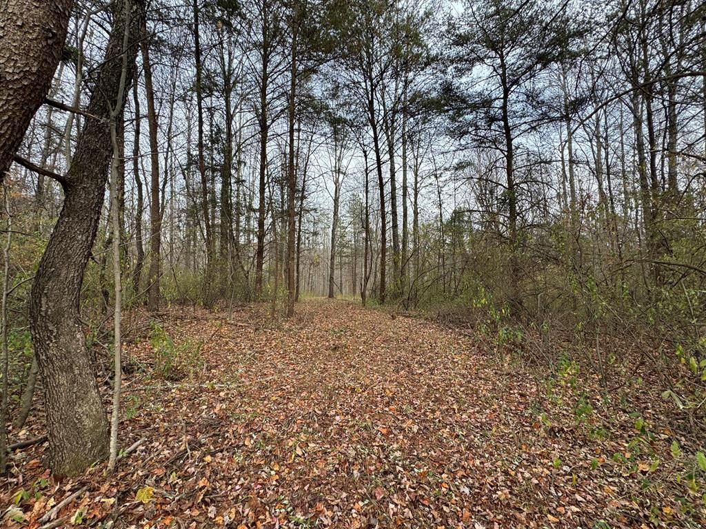 Photo of 0 Pine Knoll Farms Loop #28, Stuart, VA 24171 (MLS # 104183)