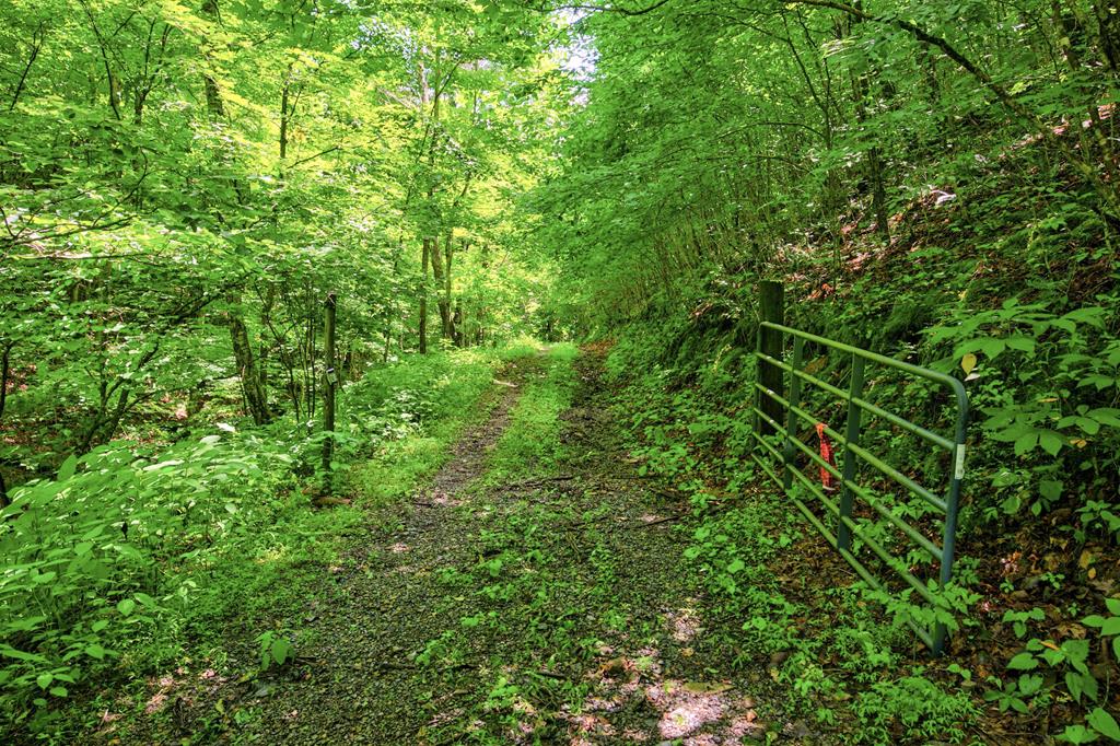 Photo of 87 Goodpasture Hollow Rd #none, Marion, VA 24354 (MLS # 110673)