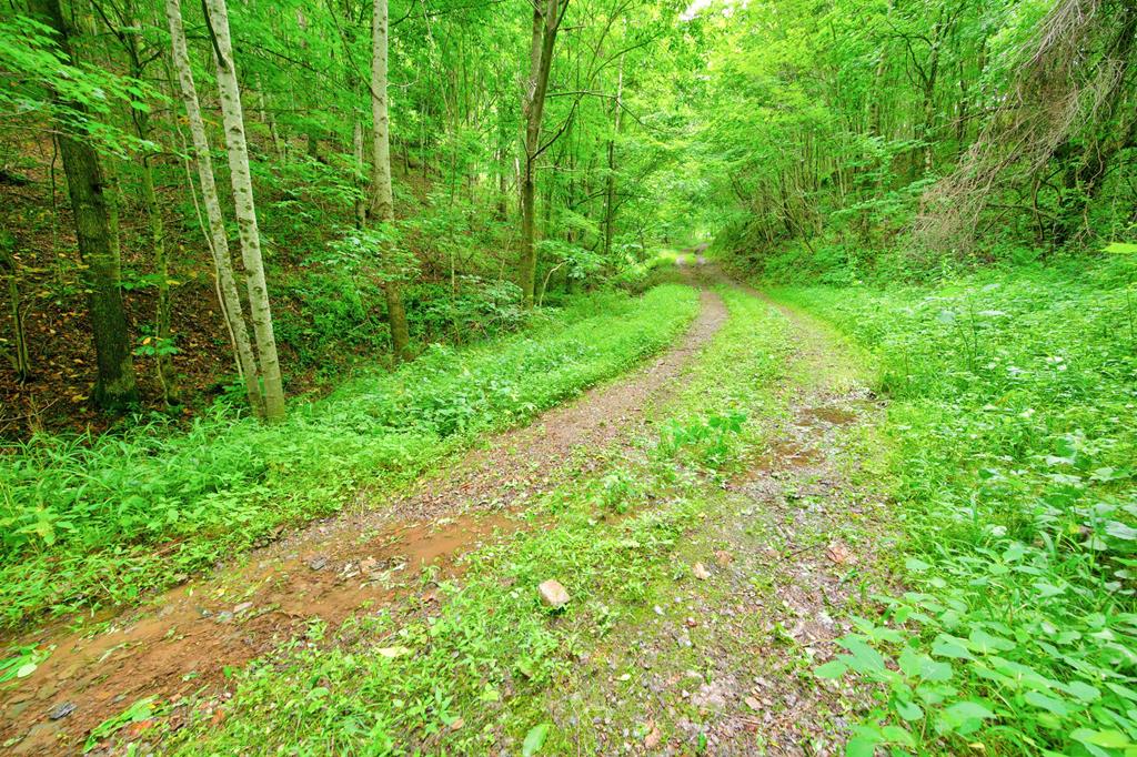Photo of 87 Goodpasture Hollow Rd #none, Marion, VA 24354 (MLS # 110673)