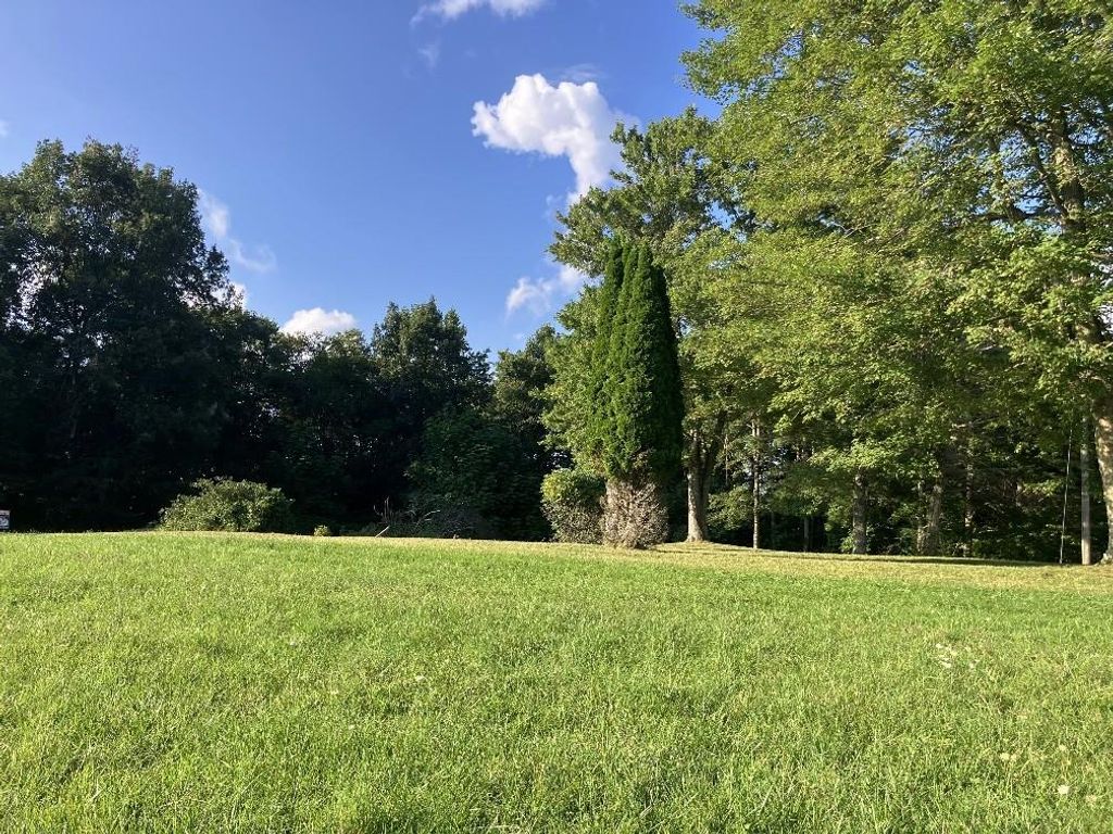Photo of 437 Shelor Rd SW #0, Meadows of Dan, VA 24120 (MLS # 103059)