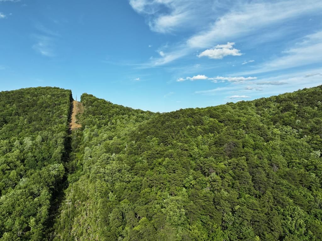 Photo of 0 Old Mill Rd #n/a, Patrick Springs, VA 24133 (MLS # 100015)