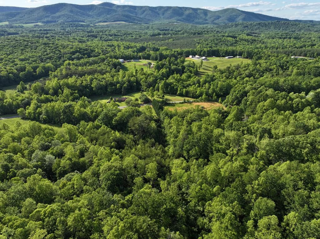 Photo of 0 Old Mill Rd #n/a, Patrick Springs, VA 24133 (MLS # 100015)