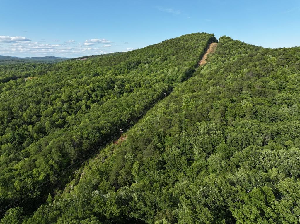 Photo of 0 Old Mill Rd #n/a, Patrick Springs, VA 24133 (MLS # 100015)