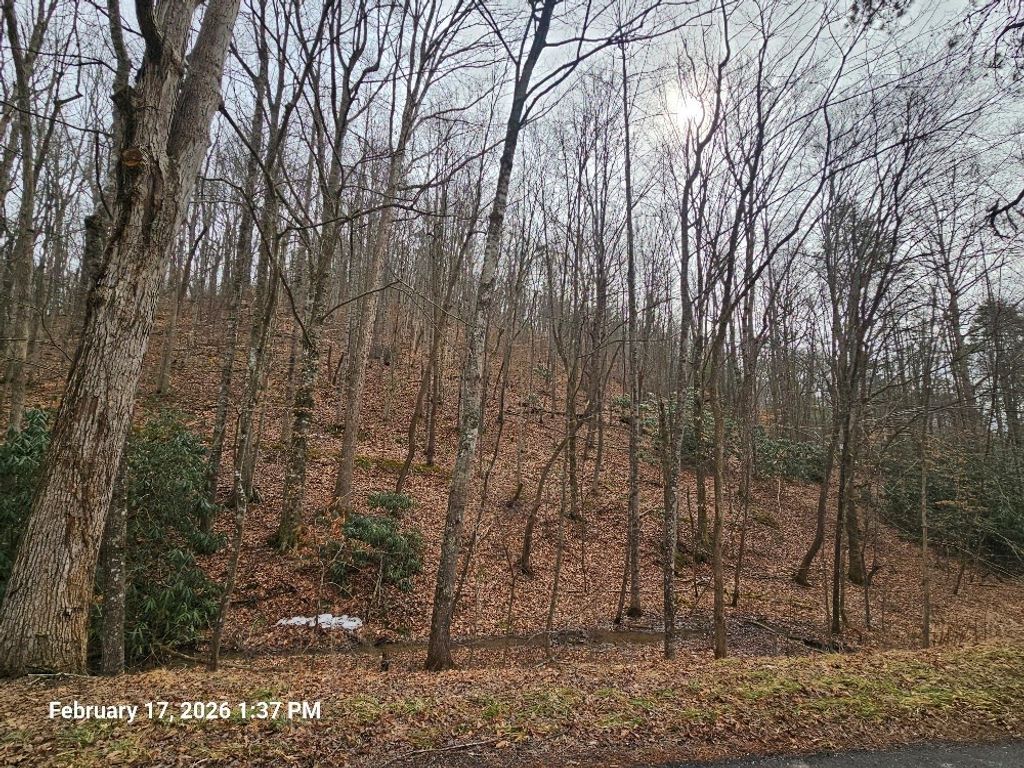 Photo of TBD Murray Rd #TR 4, Marion, VA 24354 (MLS # 105850)