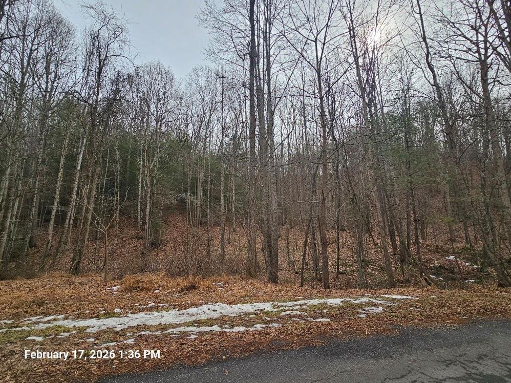 Photo of TBD Murray Rd #TR 4, Marion, VA 24354 (MLS # 105850)