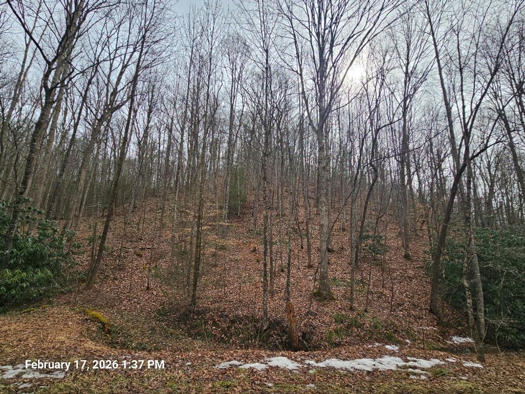 Photo of TBD Murray Rd #TR 4, Marion, VA 24354 (MLS # 105850)