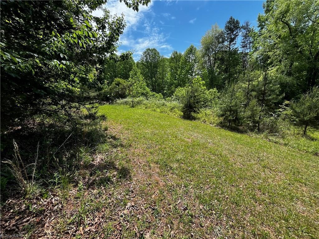 Photo of 0000 Virgilina Circle #36, 38, 32A, Cana, VA 24317 (MLS # 100431)