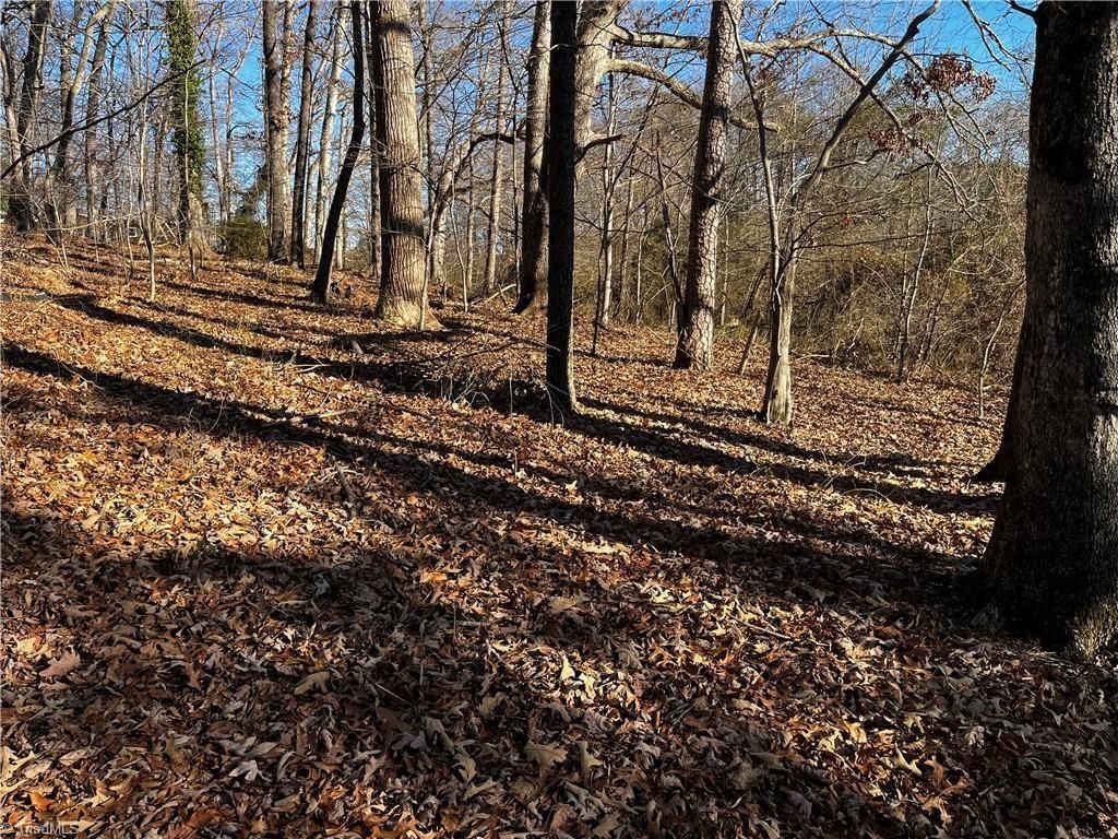 Photo of 0000 Virgilina Circle #36, 38, 32A, Cana, VA 24317 (MLS # 100431)