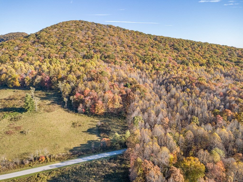 Photo of 897 Phadettia Road #0, Willis, VA 24380 (MLS # 109300)