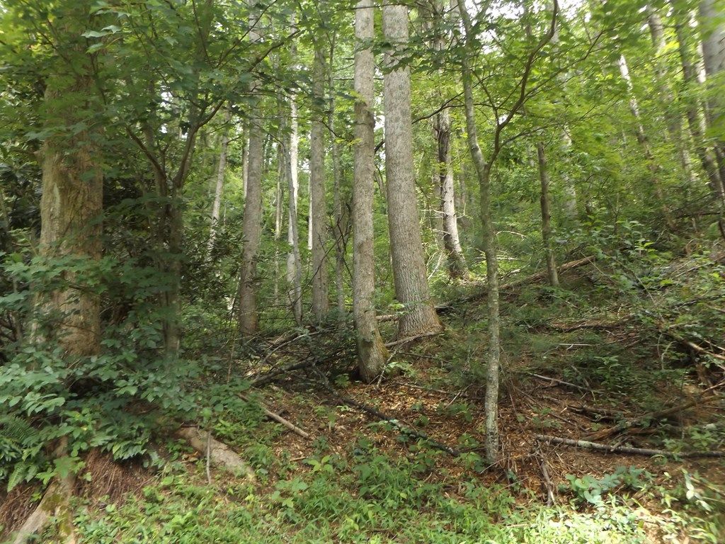 Photo of TBD Chalet Dr #7, Fancy Gap, VA 24328 (MLS # 100673)