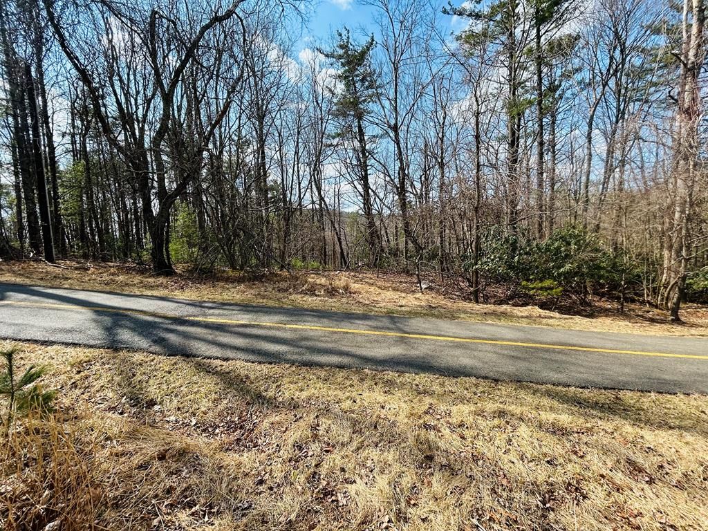 Photo of TBD Old Hollow Trail #3, 11, Fancy Gap, VA 24328 (MLS # 105989)