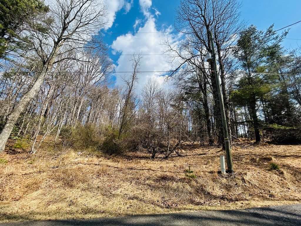 Photo of TBD Old Hollow Trail #3, 11, Fancy Gap, VA 24328 (MLS # 105989)