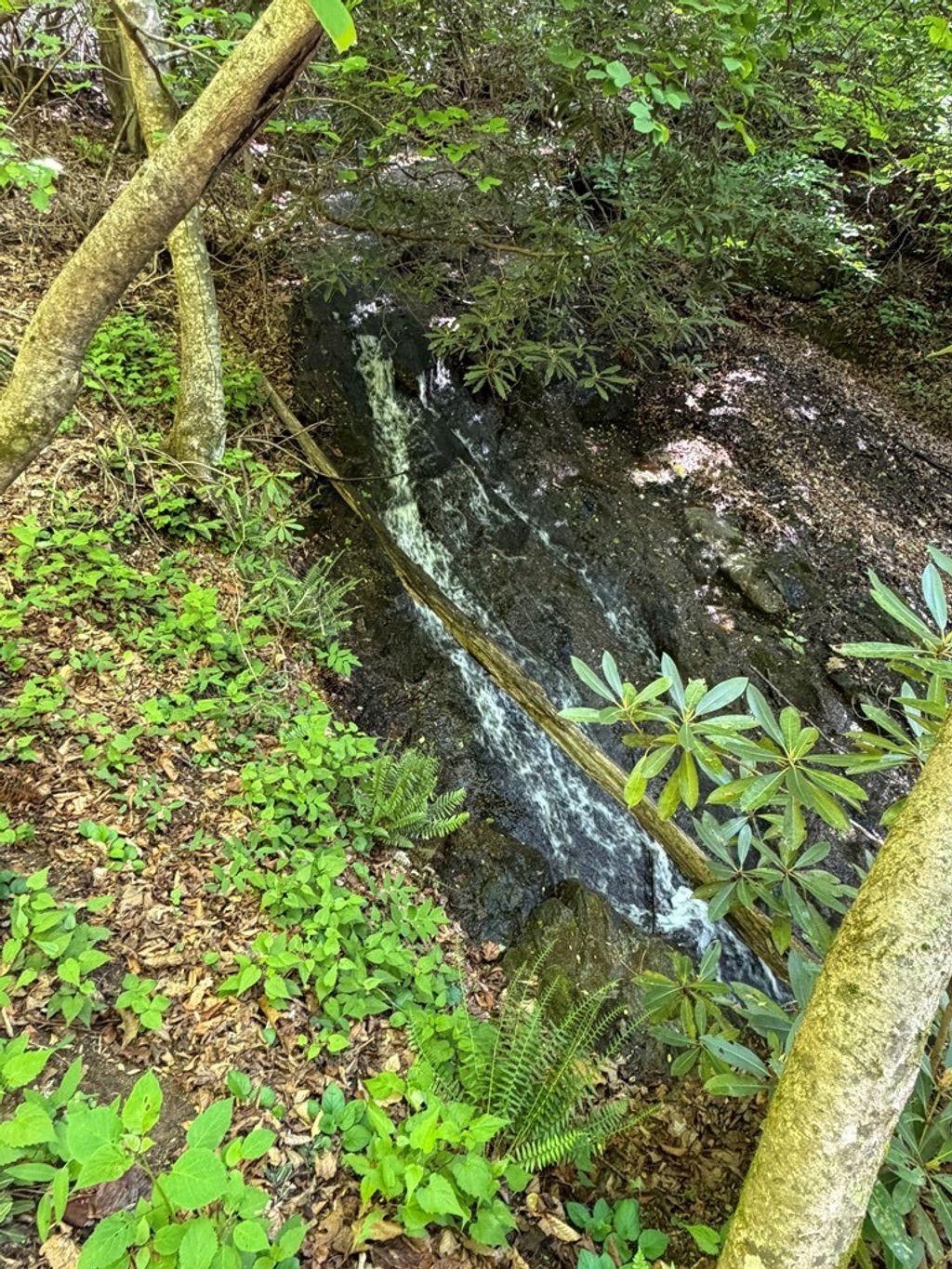 Photo of TBD Wards Gap Road #16,58, Fancy Gap, VA 24328 (MLS # 110052)