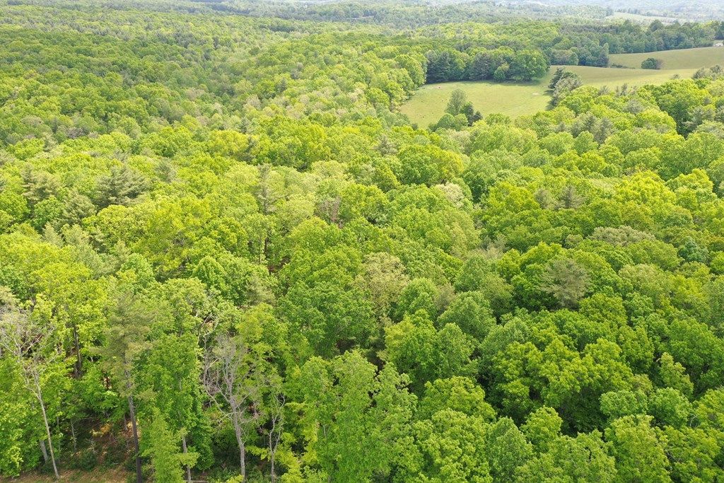 Photo of TBD Amelia Lane #17-22; 28-31, Hillsville, VA 24343 (MLS # 110162)