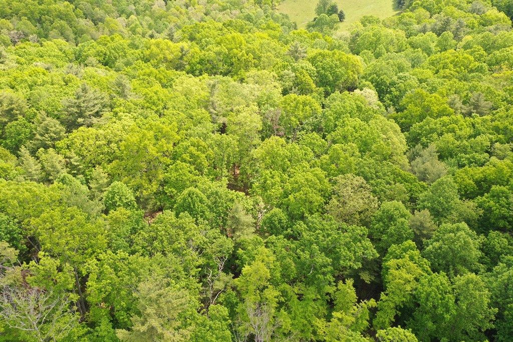 Photo of TBD Amelia Lane #17-22; 28-31, Hillsville, VA 24343 (MLS # 110162)