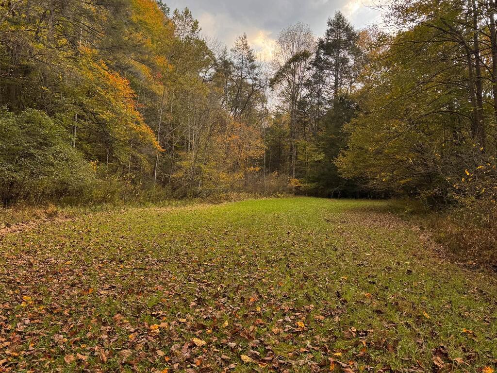 Photo of 3210 Ravens Nest Branch Rd, Cedar Bluff, VA 24609 (MLS # 112357)