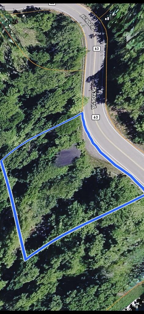 Photo of 8414 Big Ridge Rd #n/a, Haysi, VA 24256 (MLS # 112359)